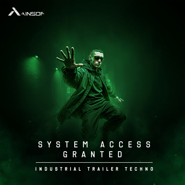 System Access Granted